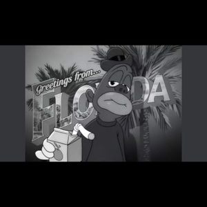 Meet your Posher, Irwin